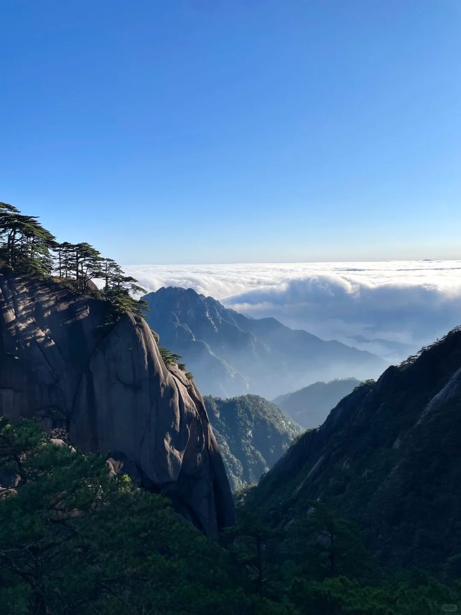 黄山旅游团